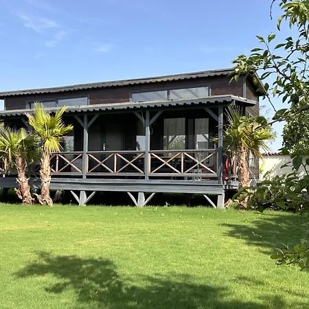 Flu Alacati Tiny House