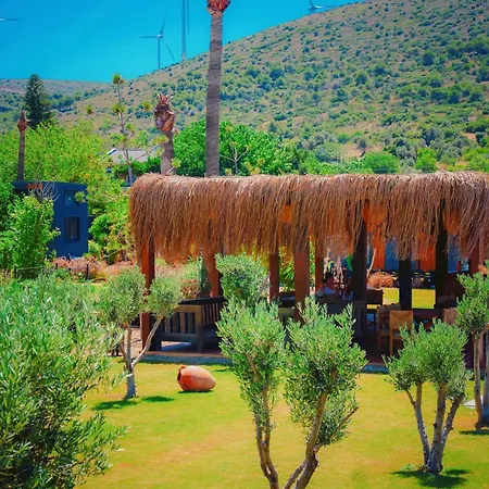 Flu Alacati Tiny House
