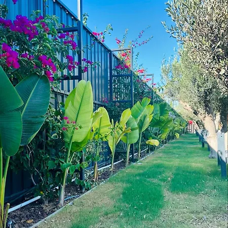 Flu Alacati Tiny House 酒店 *